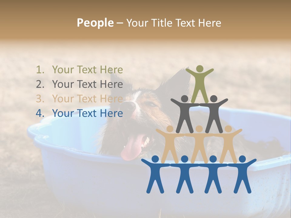 A Dog Sitting In A Blue Tub With His Tongue Out PowerPoint Template