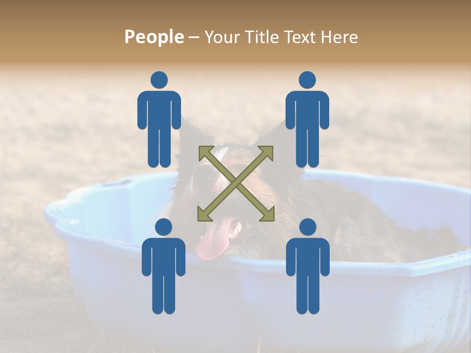 A Dog Sitting In A Blue Tub With His Tongue Out PowerPoint Template