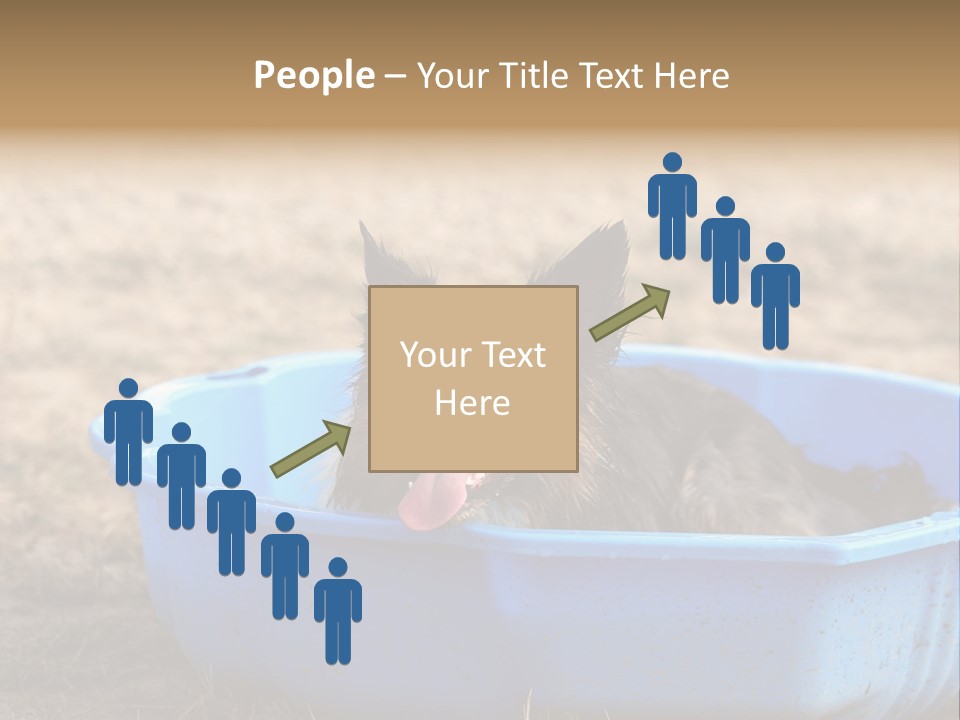 A Dog Sitting In A Blue Tub With His Tongue Out PowerPoint Template