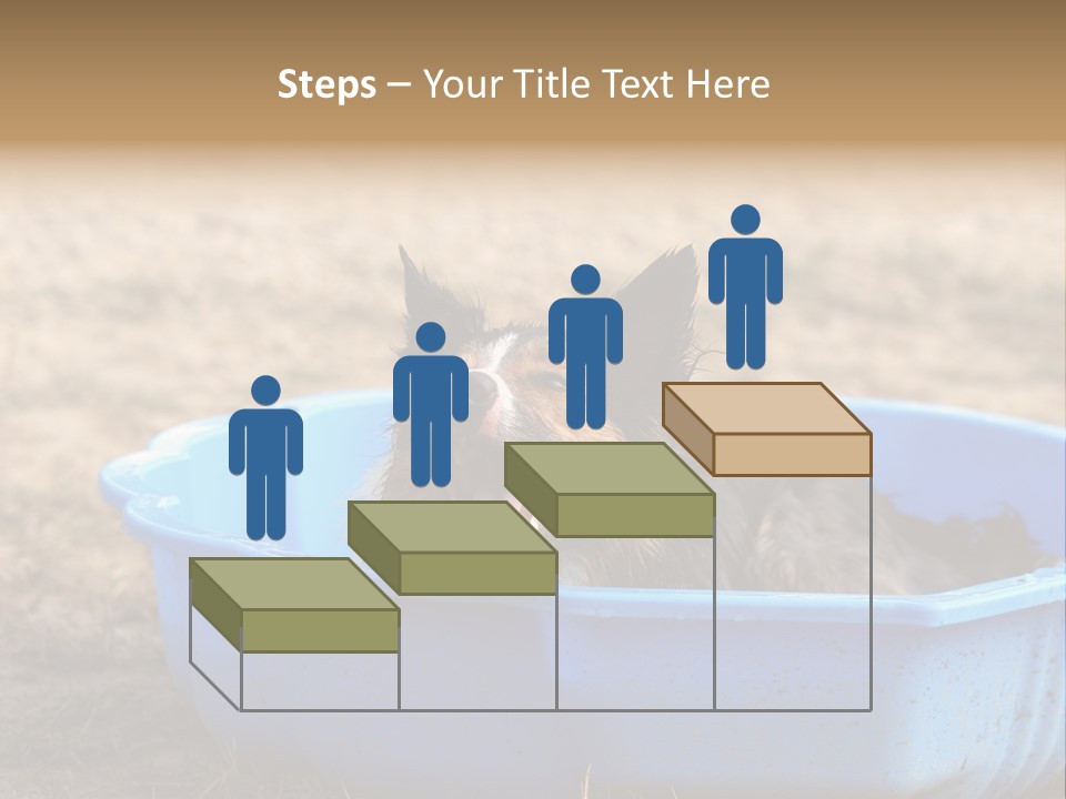 A Dog Sitting In A Blue Tub With His Tongue Out PowerPoint Template