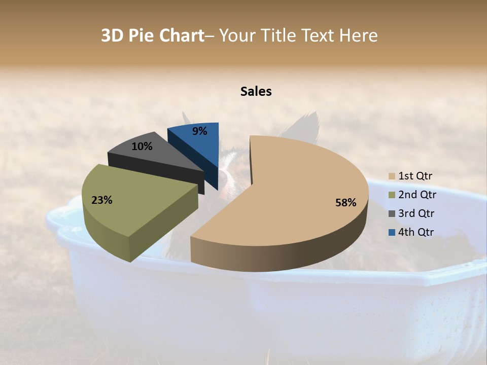 A Dog Sitting In A Blue Tub With His Tongue Out PowerPoint Template