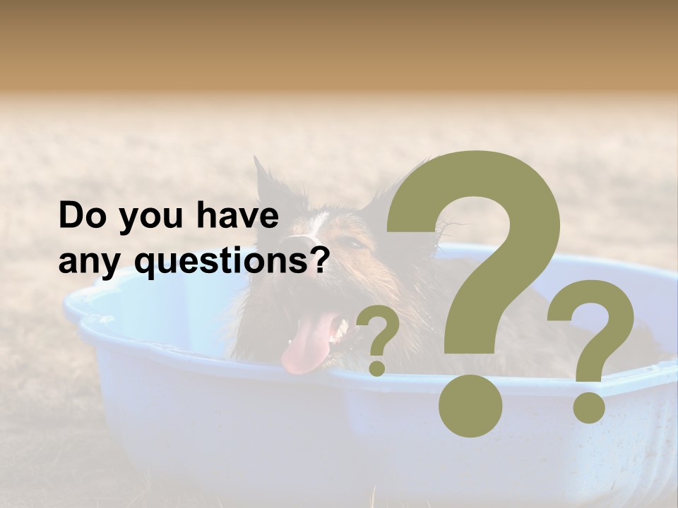 A Dog Sitting In A Blue Tub With His Tongue Out PowerPoint Template