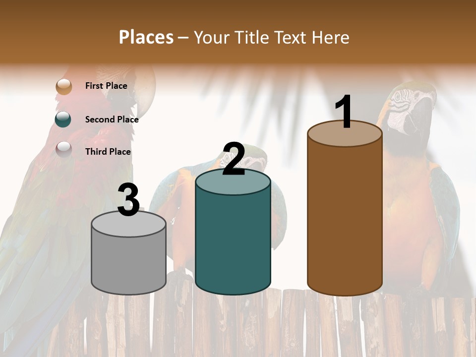 Bottles With Essential Oils Isolated On White Background PowerPoint Template