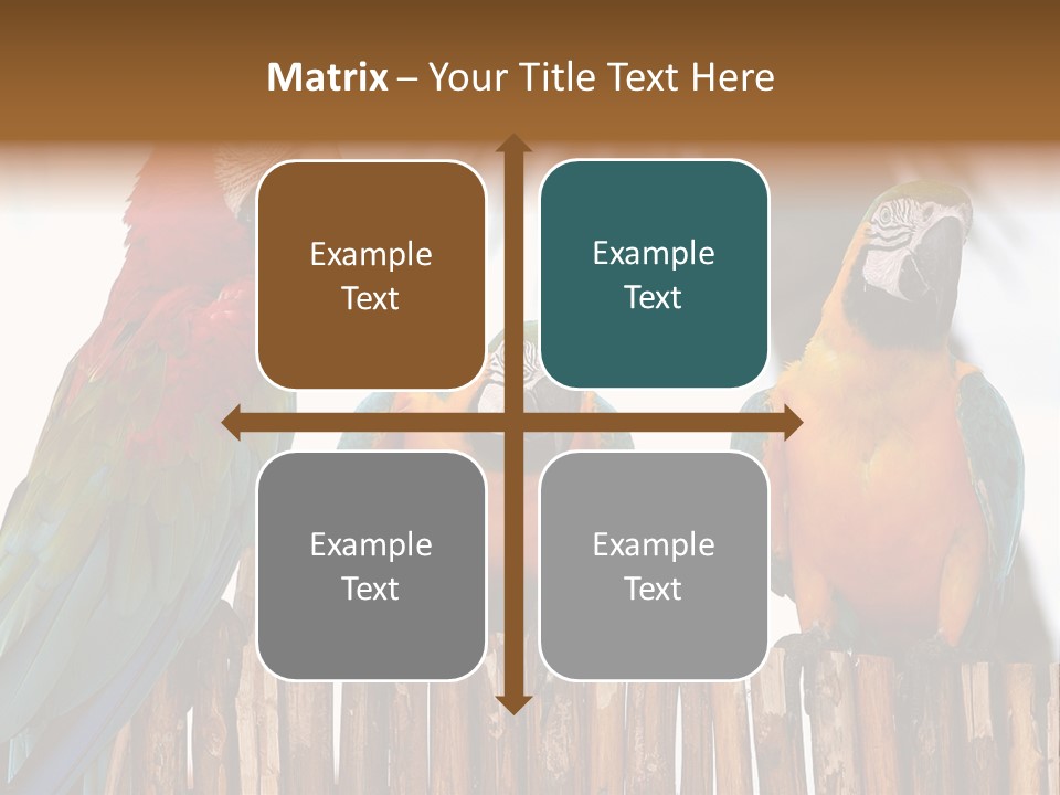 Bottles With Essential Oils Isolated On White Background PowerPoint Template