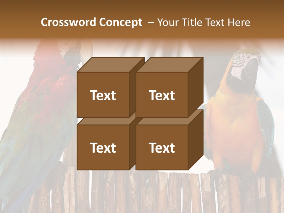 Bottles With Essential Oils Isolated On White Background PowerPoint Template