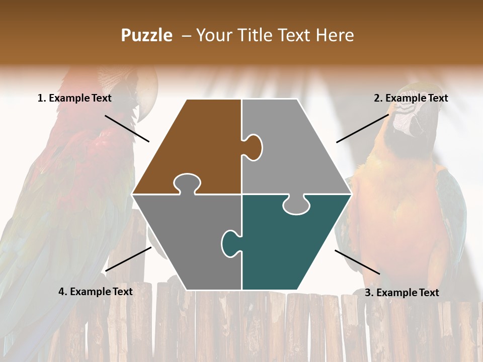 Bottles With Essential Oils Isolated On White Background PowerPoint Template