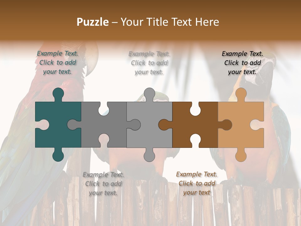 Bottles With Essential Oils Isolated On White Background PowerPoint Template