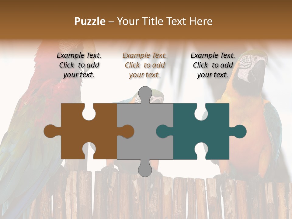 Bottles With Essential Oils Isolated On White Background PowerPoint Template