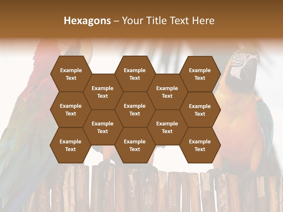 Bottles With Essential Oils Isolated On White Background PowerPoint Template