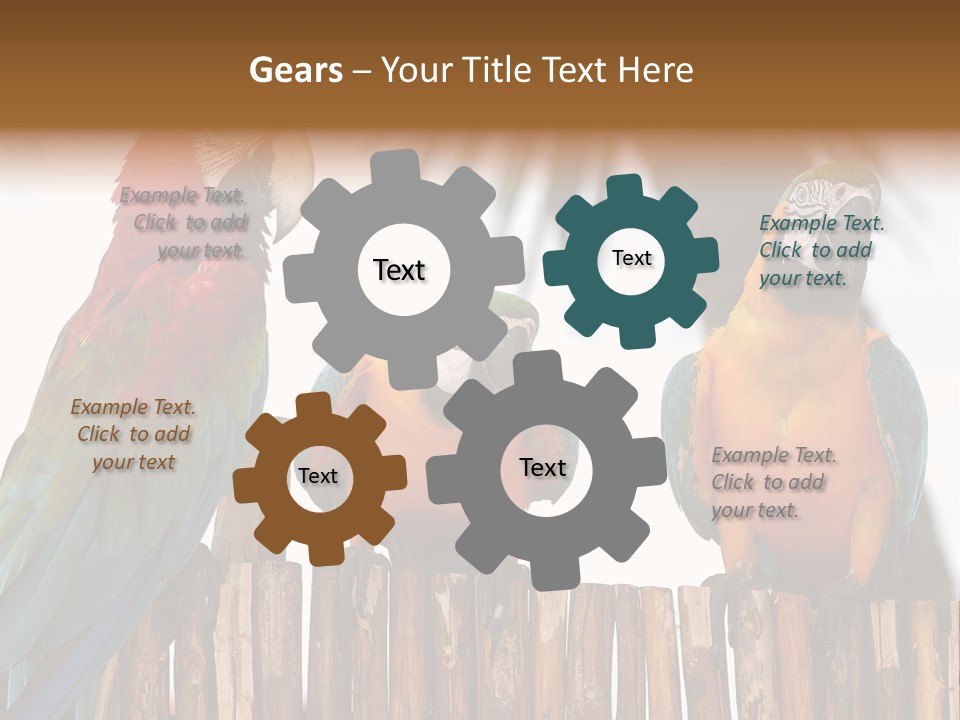 Bottles With Essential Oils Isolated On White Background PowerPoint Template