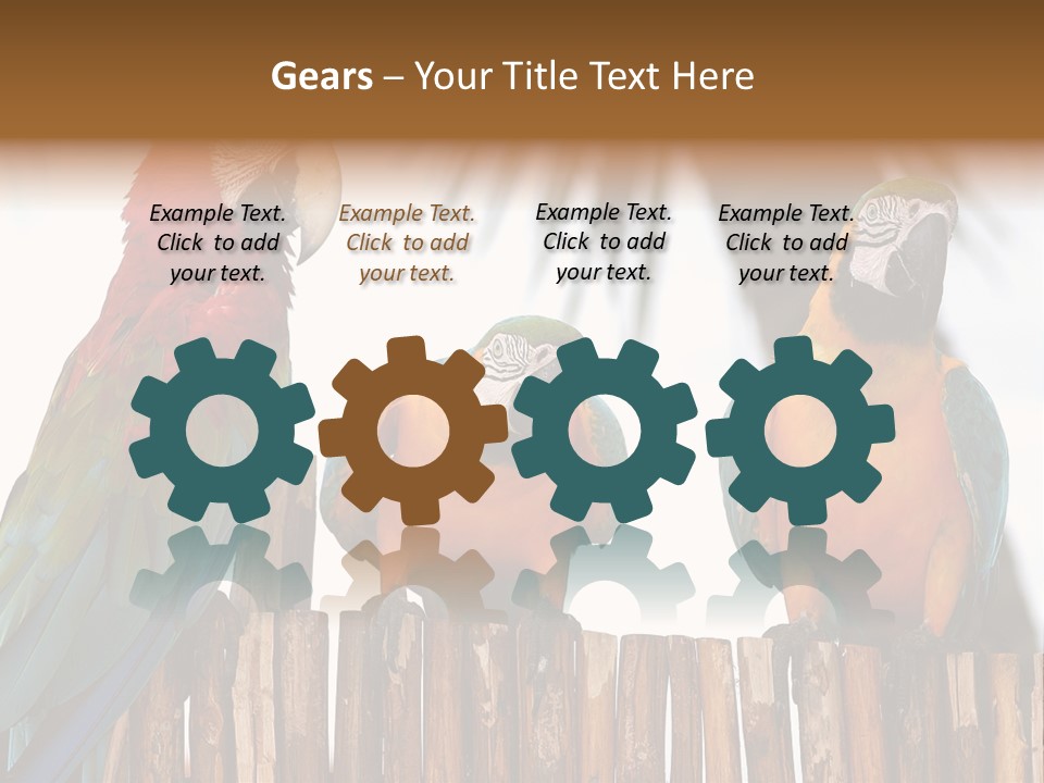 Bottles With Essential Oils Isolated On White Background PowerPoint Template