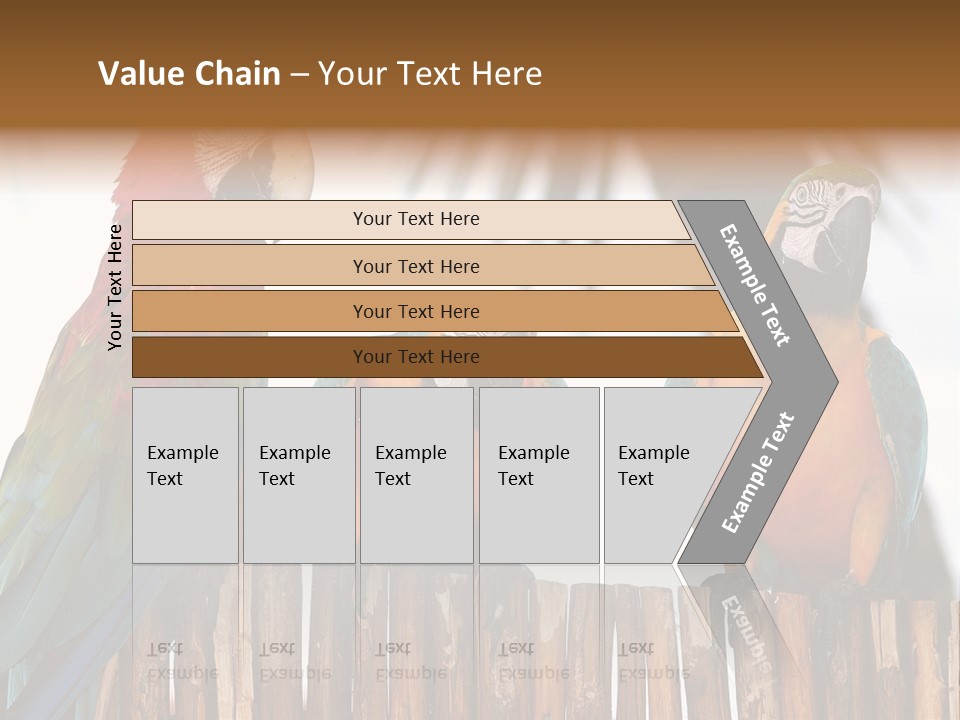 Bottles With Essential Oils Isolated On White Background PowerPoint Template