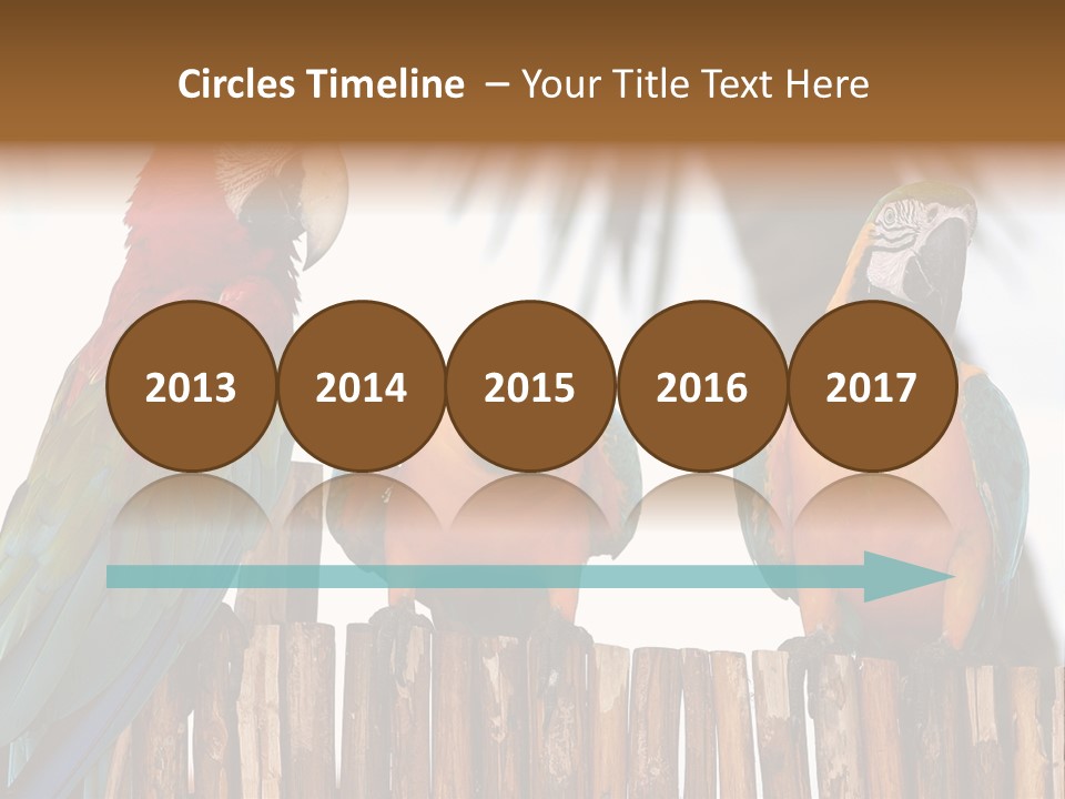 Bottles With Essential Oils Isolated On White Background PowerPoint Template