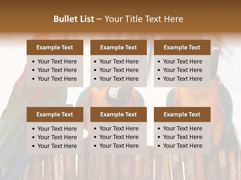 Bottles With Essential Oils Isolated On White Background PowerPoint Template