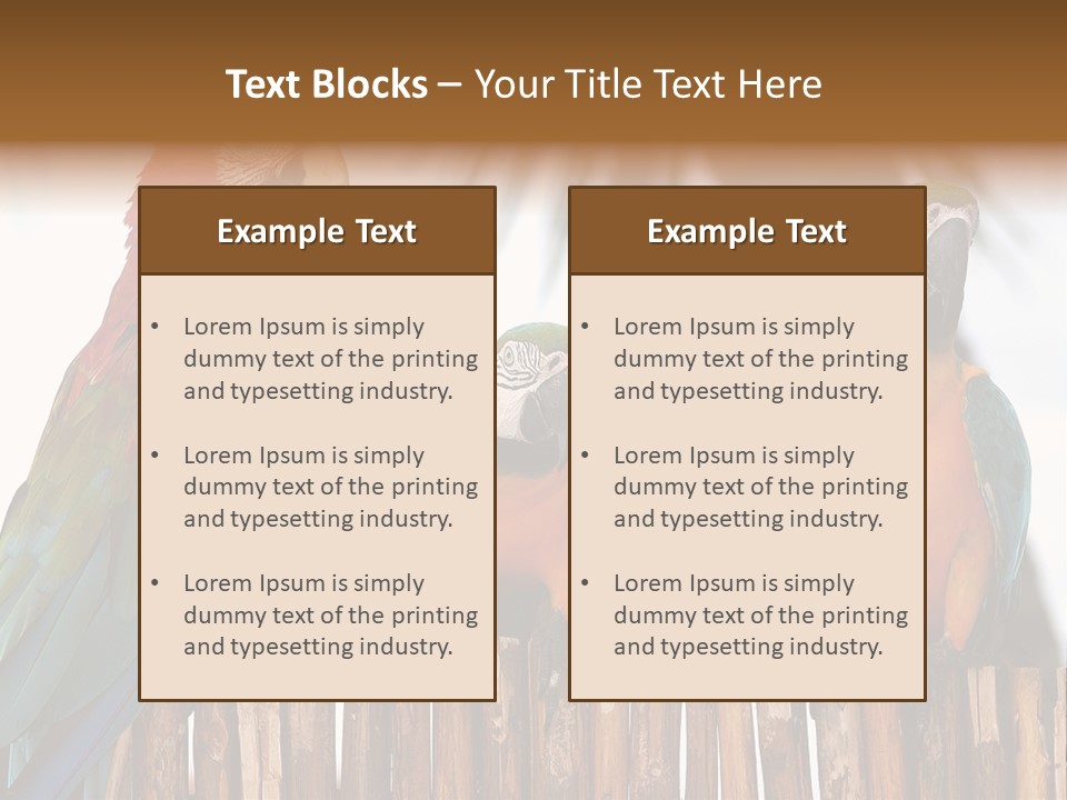 Bottles With Essential Oils Isolated On White Background PowerPoint Template
