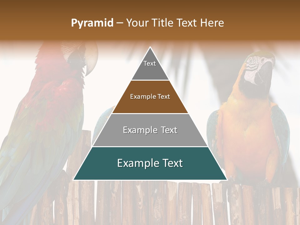 Bottles With Essential Oils Isolated On White Background PowerPoint Template