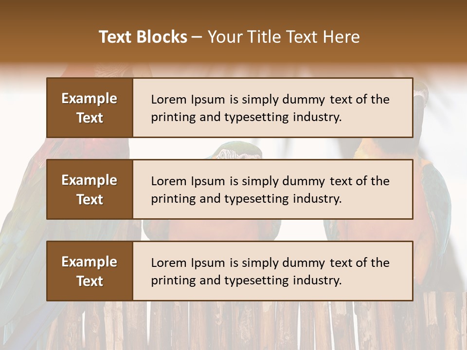 Bottles With Essential Oils Isolated On White Background PowerPoint Template