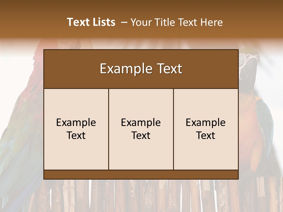 Bottles With Essential Oils Isolated On White Background PowerPoint Template