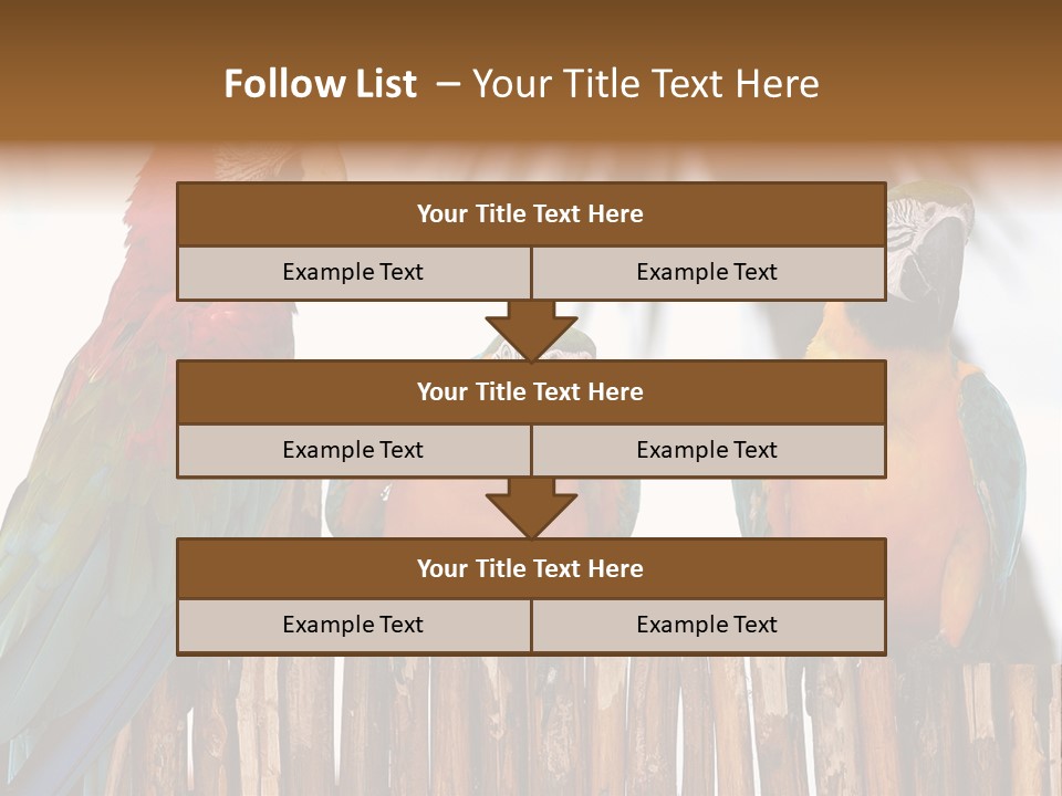 Bottles With Essential Oils Isolated On White Background PowerPoint Template