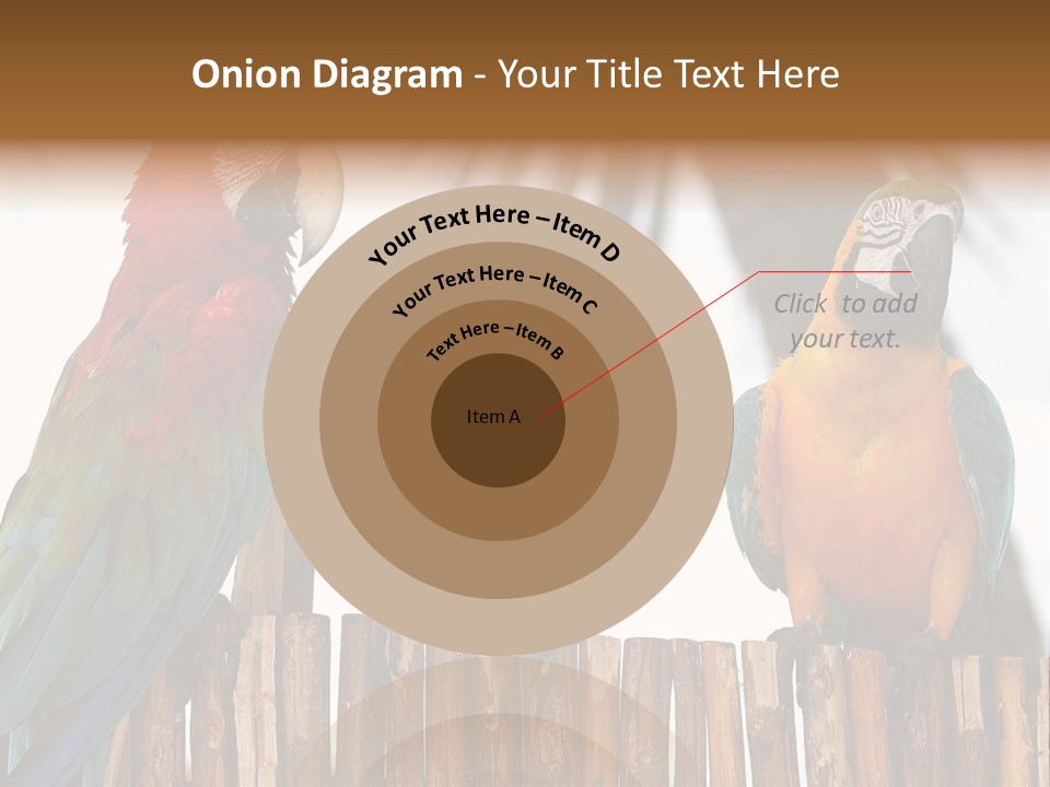 Bottles With Essential Oils Isolated On White Background PowerPoint Template