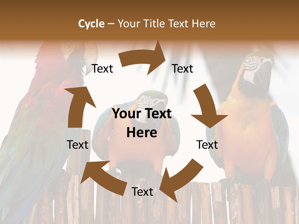 Bottles With Essential Oils Isolated On White Background PowerPoint Template