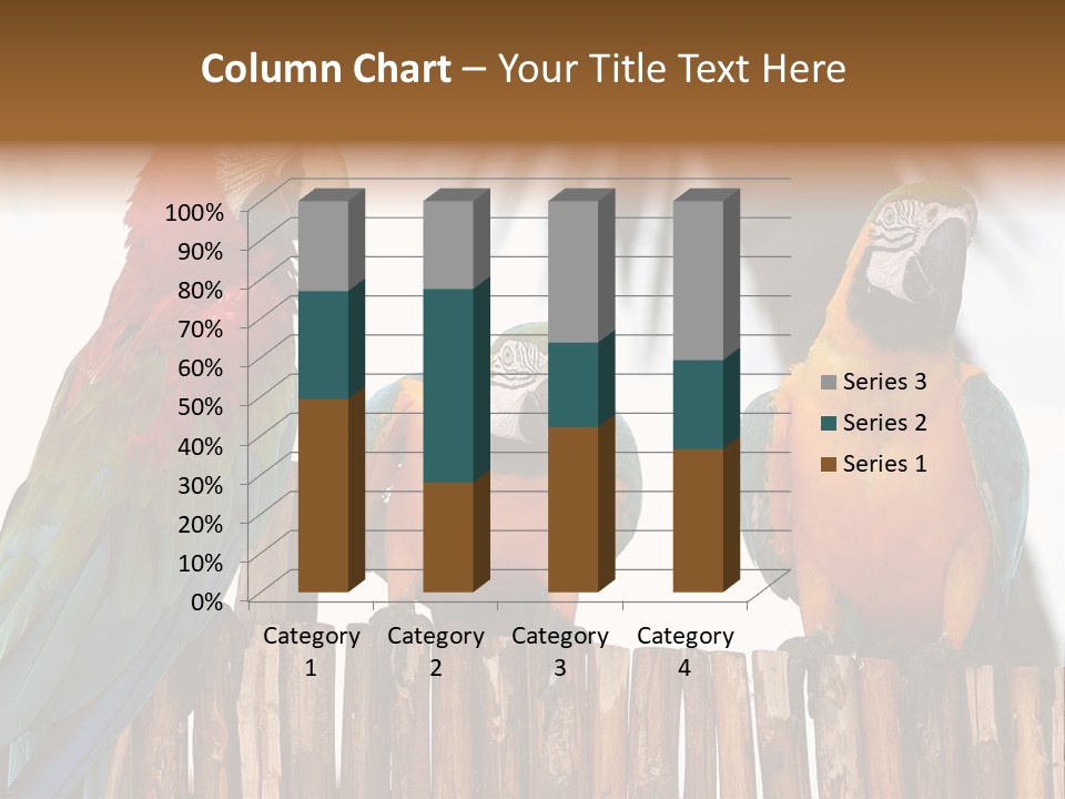Bottles With Essential Oils Isolated On White Background PowerPoint Template
