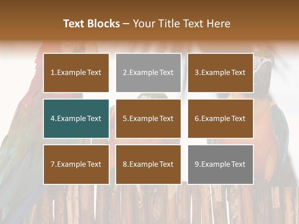 Bottles With Essential Oils Isolated On White Background PowerPoint Template