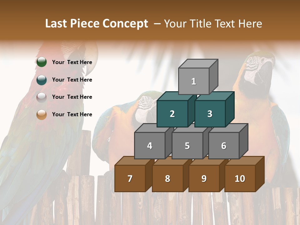 Bottles With Essential Oils Isolated On White Background PowerPoint Template