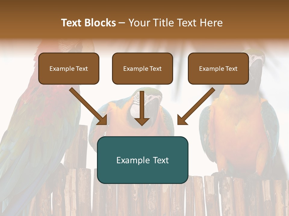 Bottles With Essential Oils Isolated On White Background PowerPoint Template