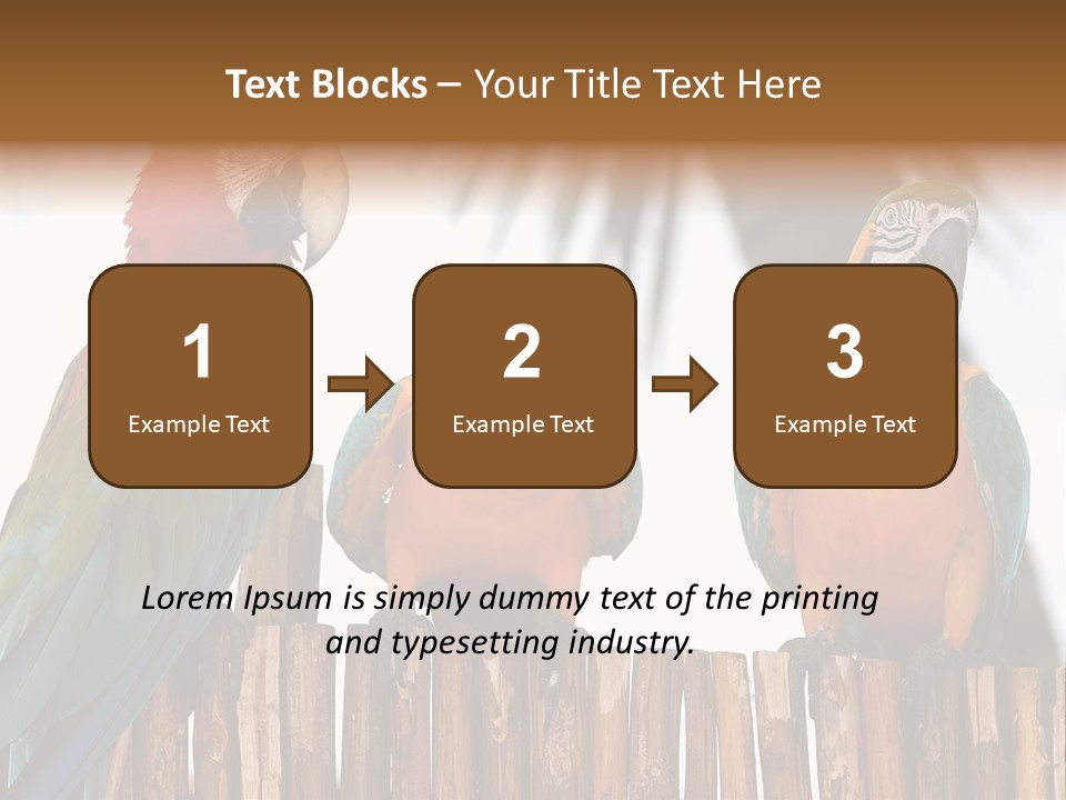 Bottles With Essential Oils Isolated On White Background PowerPoint Template