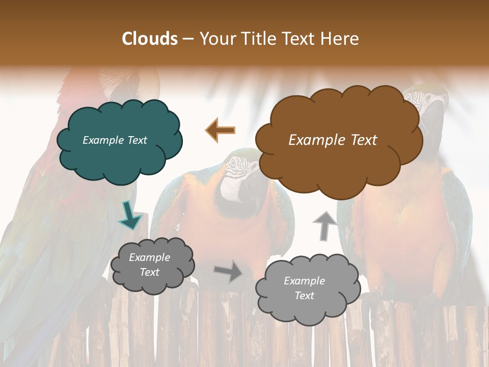 Bottles With Essential Oils Isolated On White Background PowerPoint Template