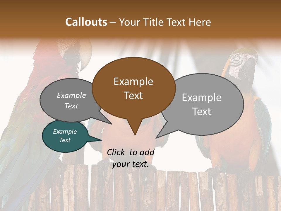 Bottles With Essential Oils Isolated On White Background PowerPoint Template