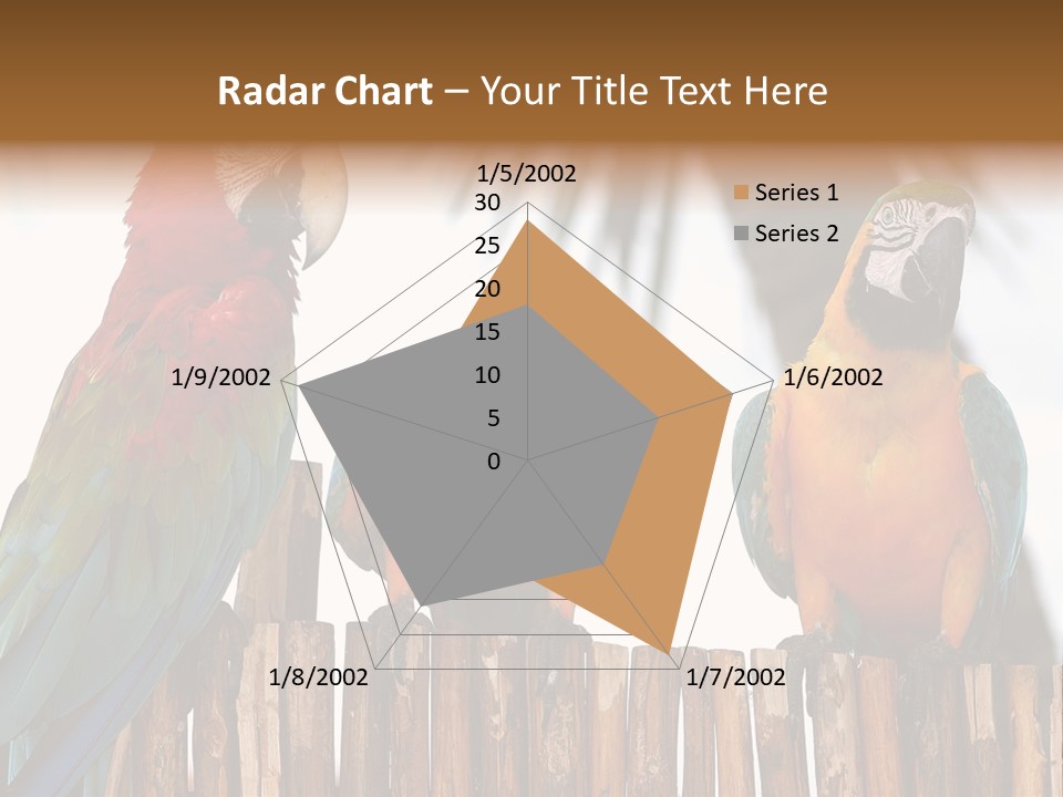 Bottles With Essential Oils Isolated On White Background PowerPoint Template