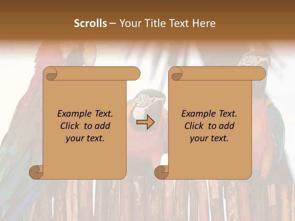 Bottles With Essential Oils Isolated On White Background PowerPoint Template