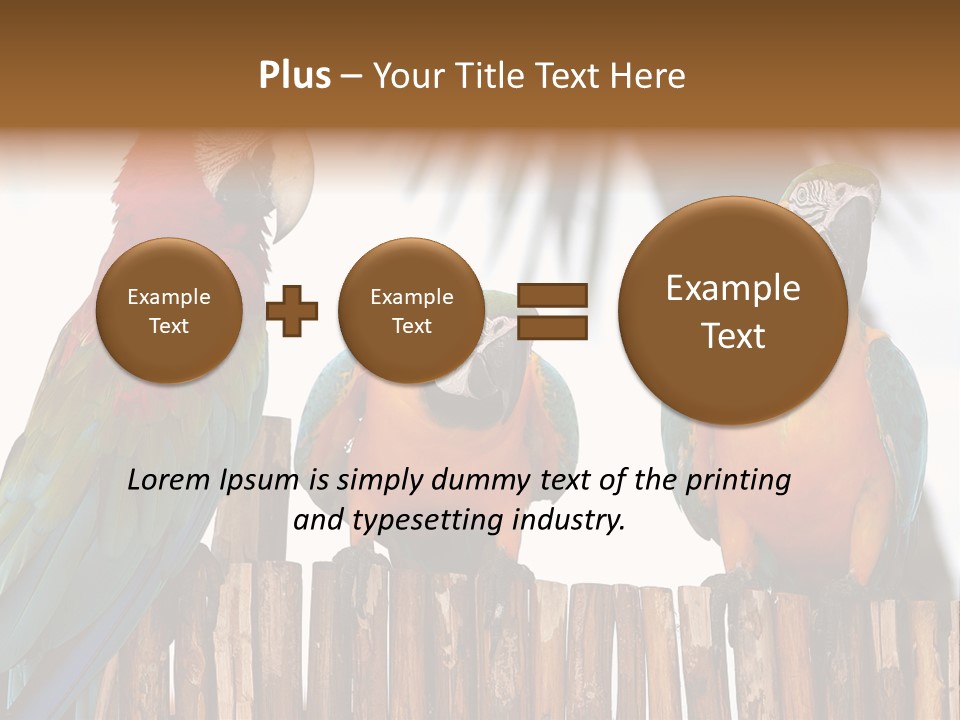 Bottles With Essential Oils Isolated On White Background PowerPoint Template