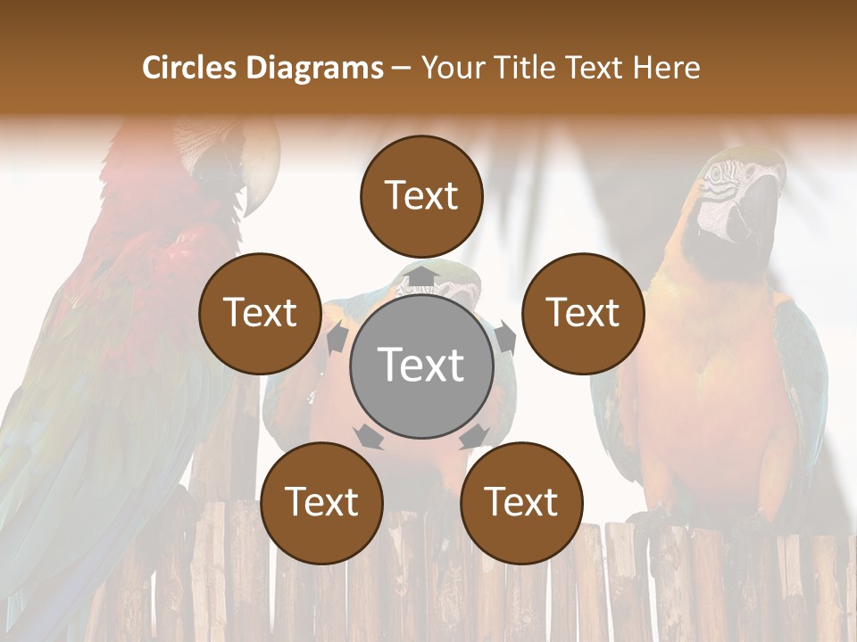 Bottles With Essential Oils Isolated On White Background PowerPoint Template