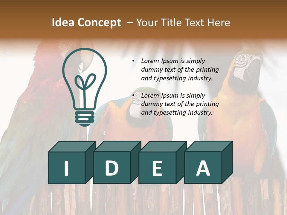 Bottles With Essential Oils Isolated On White Background PowerPoint Template