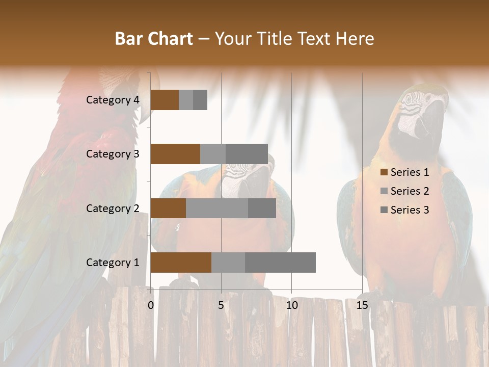 Bottles With Essential Oils Isolated On White Background PowerPoint Template