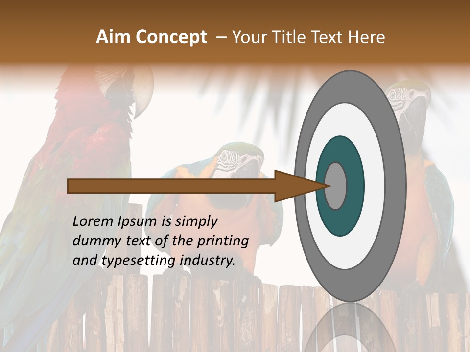 Bottles With Essential Oils Isolated On White Background PowerPoint Template