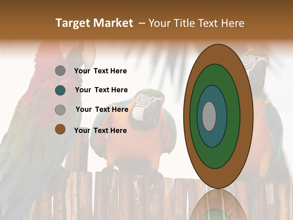 Bottles With Essential Oils Isolated On White Background PowerPoint Template