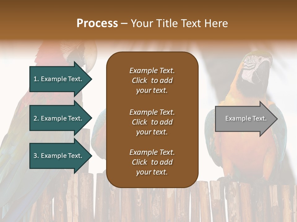 Bottles With Essential Oils Isolated On White Background PowerPoint Template