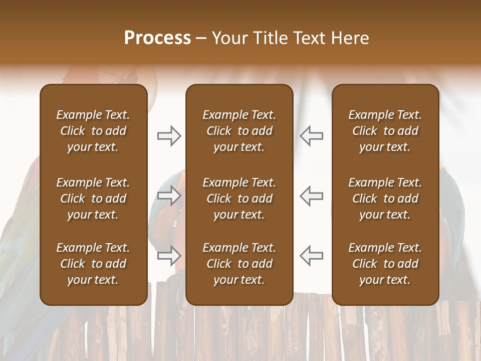 Bottles With Essential Oils Isolated On White Background PowerPoint Template