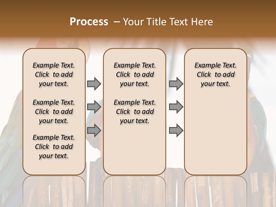 Bottles With Essential Oils Isolated On White Background PowerPoint Template