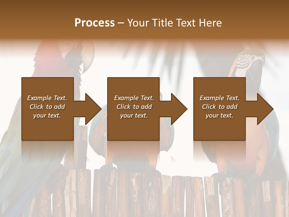 Bottles With Essential Oils Isolated On White Background PowerPoint Template