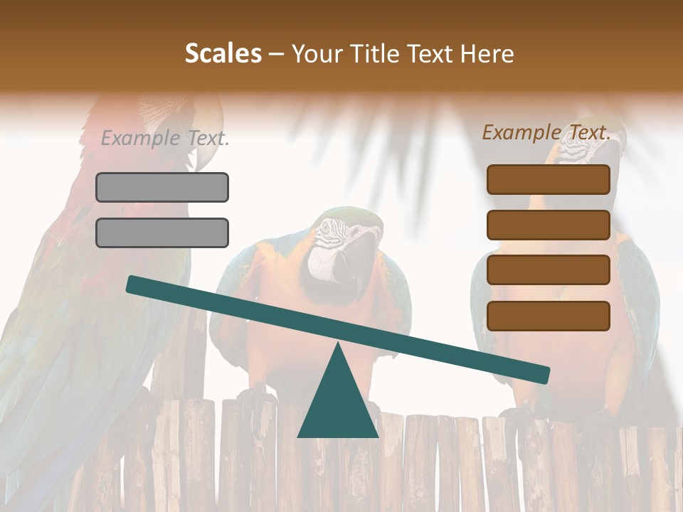 Bottles With Essential Oils Isolated On White Background PowerPoint Template