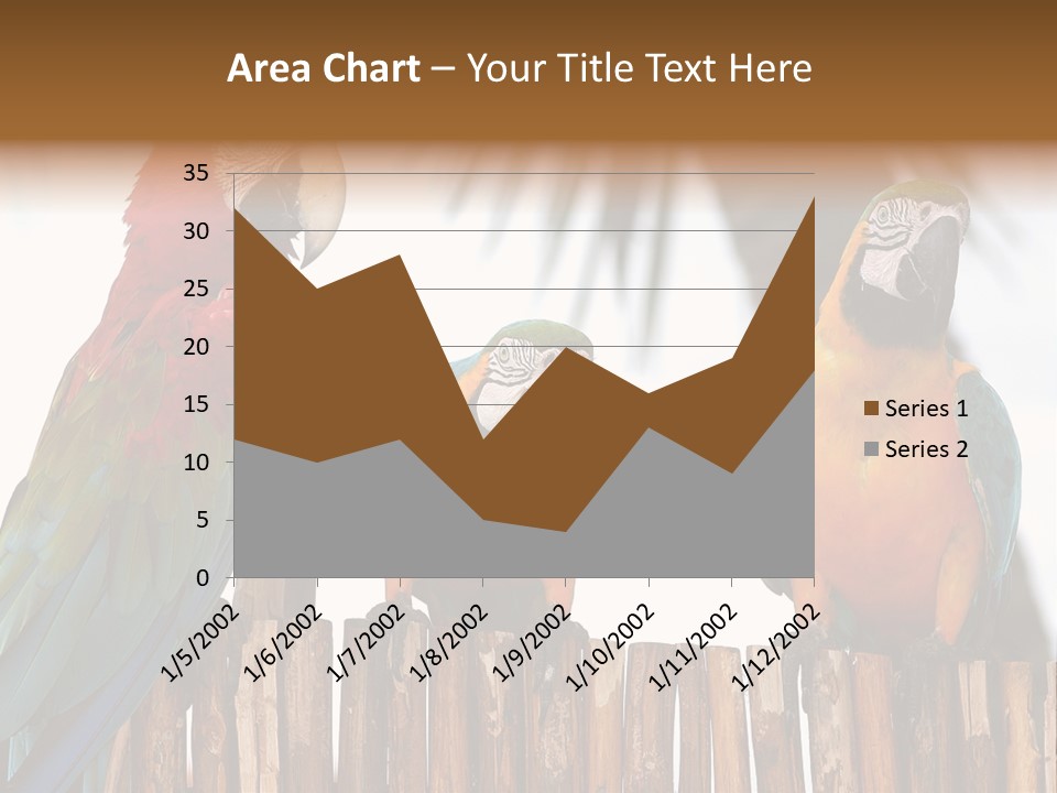 Bottles With Essential Oils Isolated On White Background PowerPoint Template