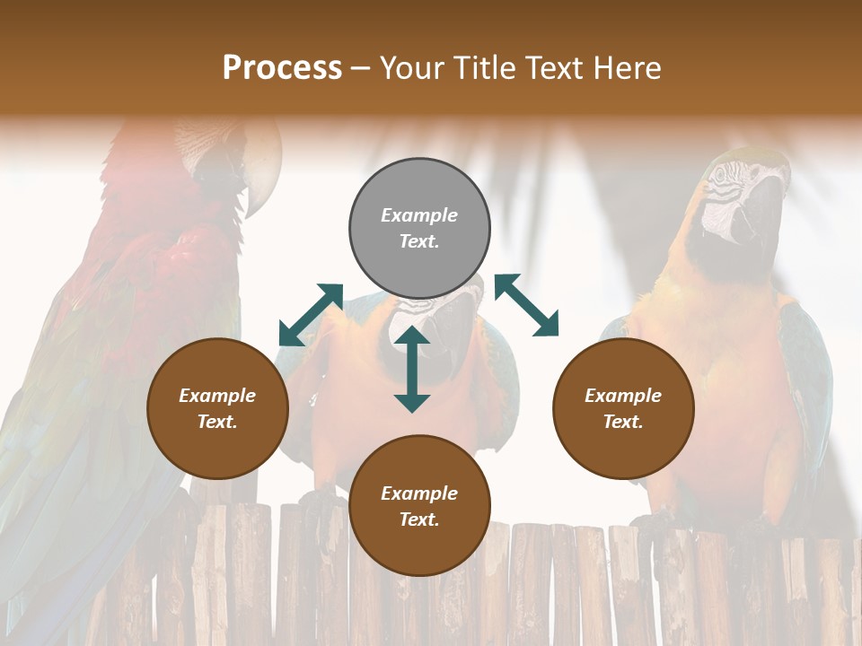 Bottles With Essential Oils Isolated On White Background PowerPoint Template