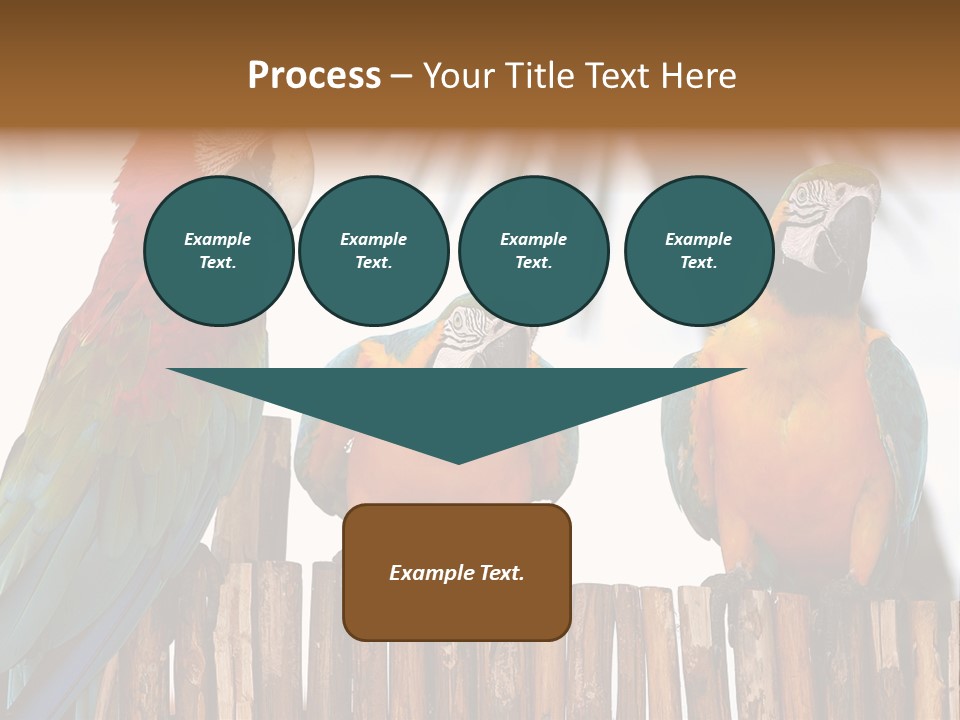 Bottles With Essential Oils Isolated On White Background PowerPoint Template