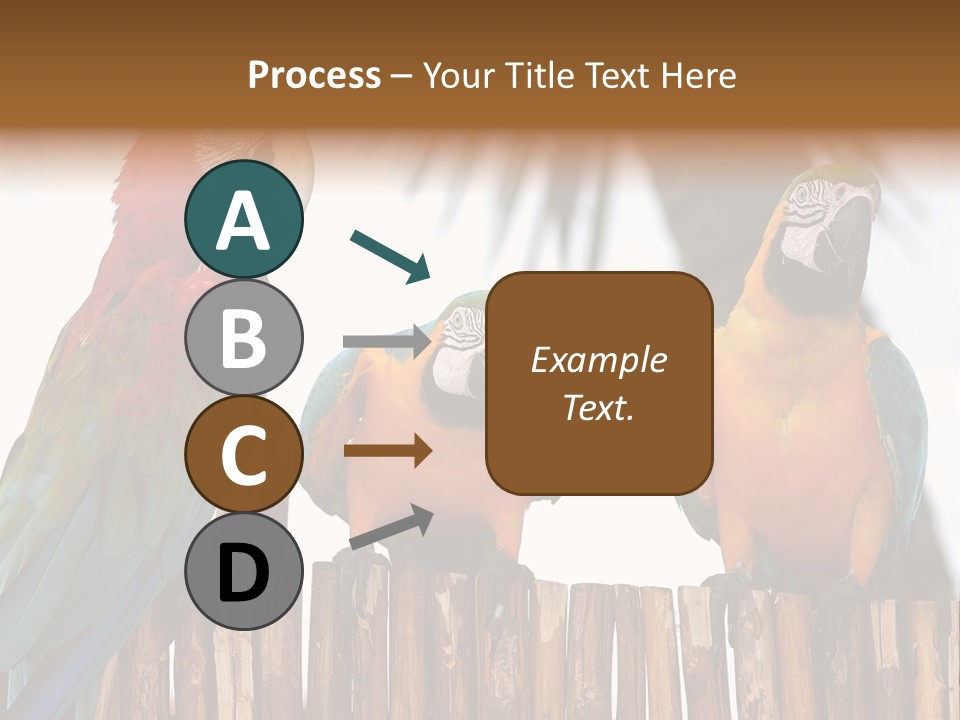 Bottles With Essential Oils Isolated On White Background PowerPoint Template