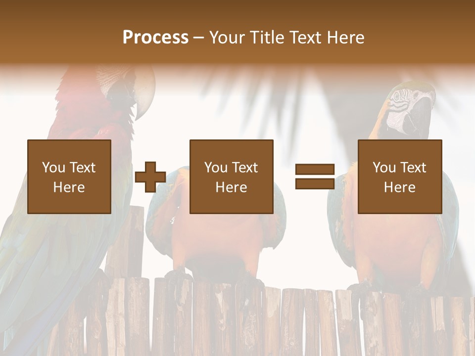 Bottles With Essential Oils Isolated On White Background PowerPoint Template